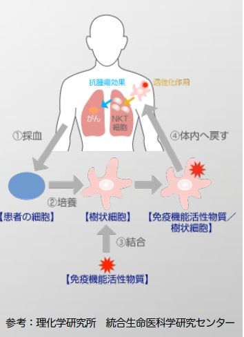 参考:理化学研究所 統合生命医科学研究センター