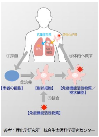 診察・免疫機能検査
